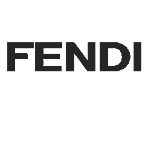 Fendi Eyewear Frames